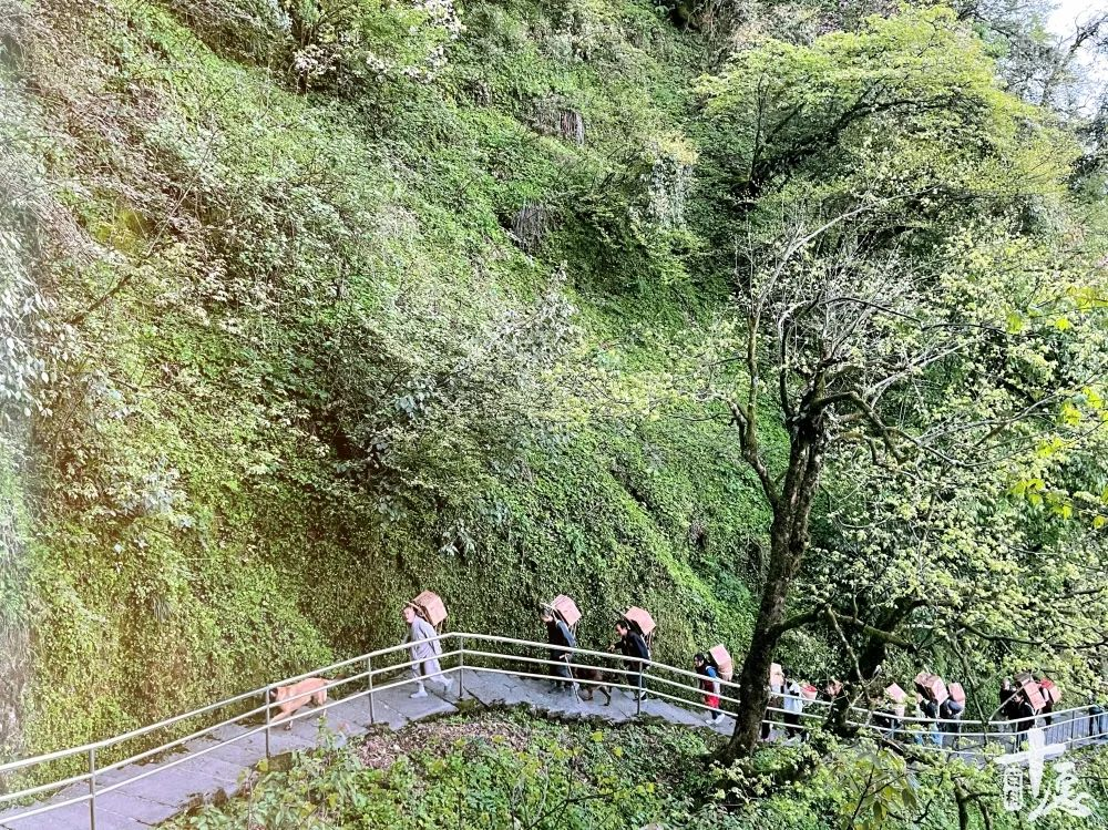 峨眉山这座网红寺院，徒步22公里才能到达| 觉悟禅游_十愿网